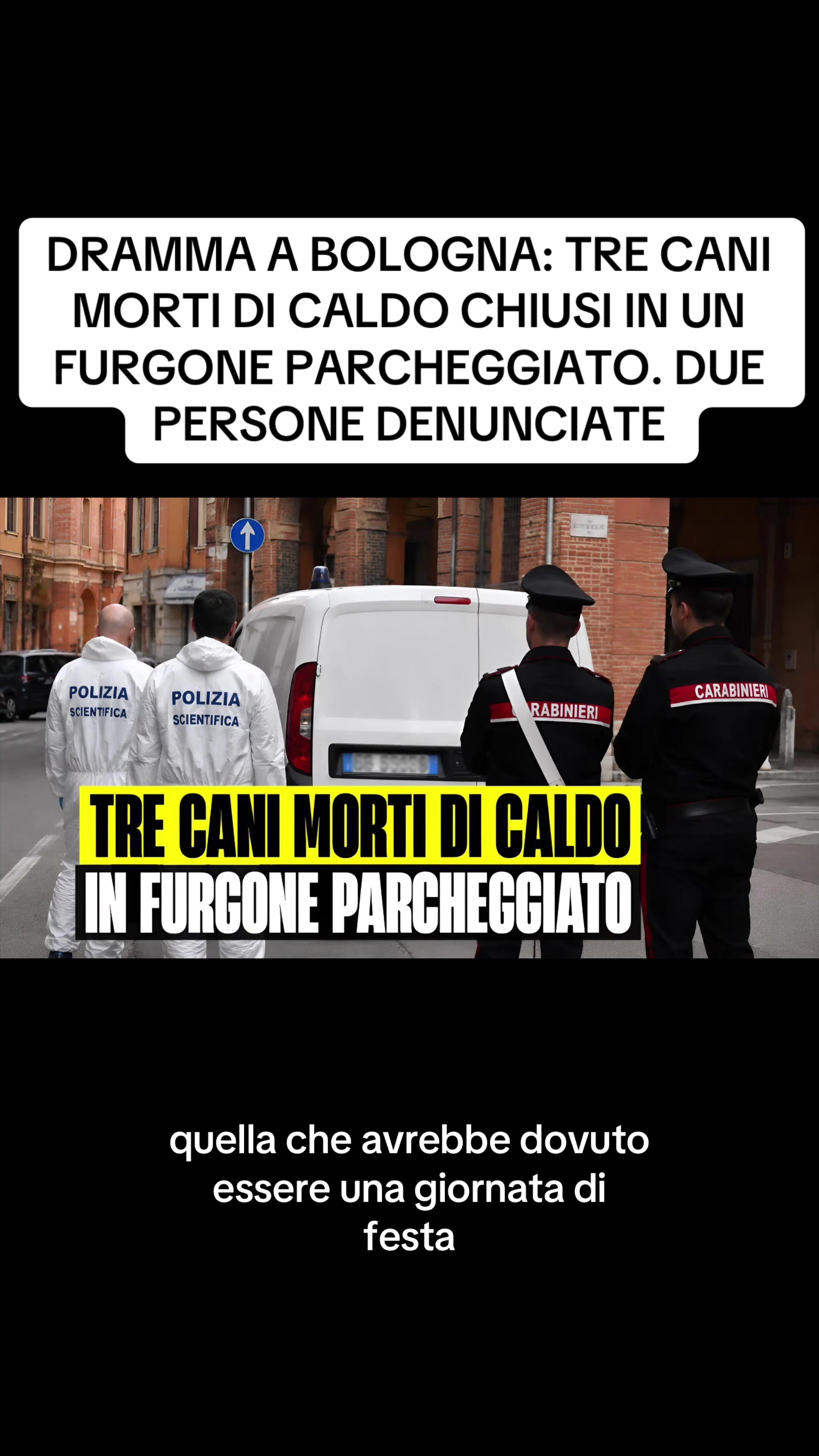 @flashtv_notizie