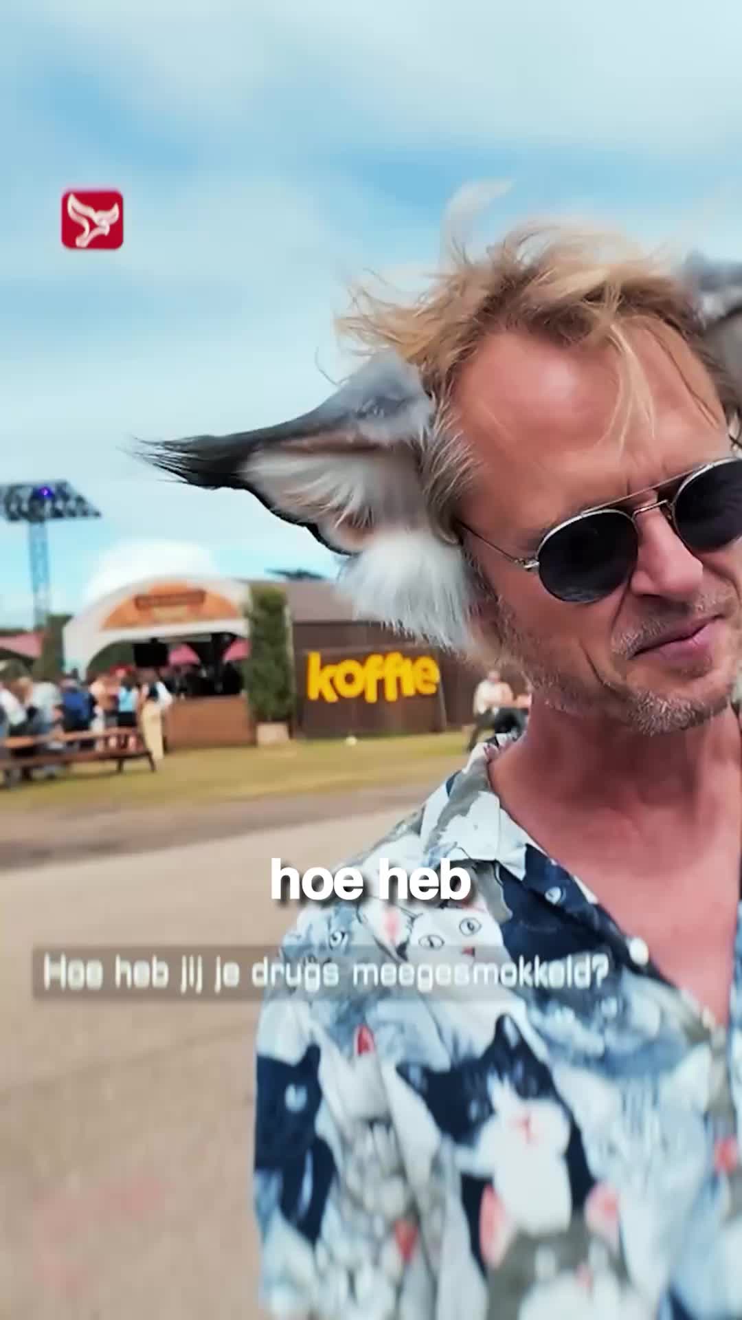 @Mees Wijnants