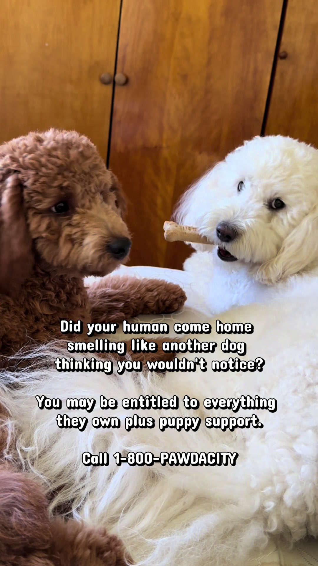 @Enzo the Dood