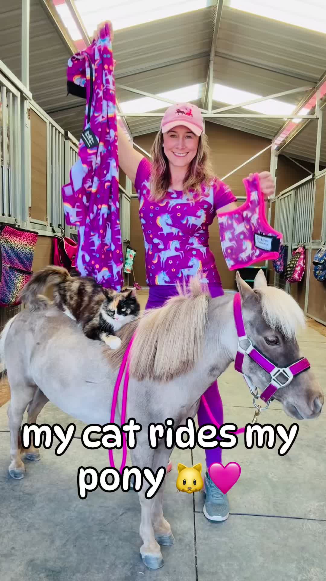 @Star Point Horsemanship