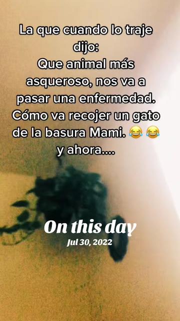 @Ambar Ramírez