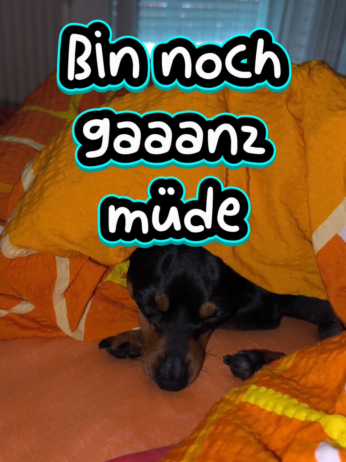 @ICH BIN'S