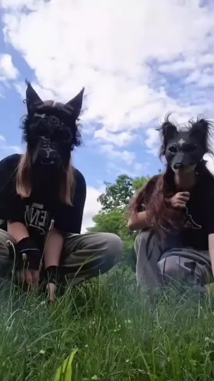 @black wolf and silver fox