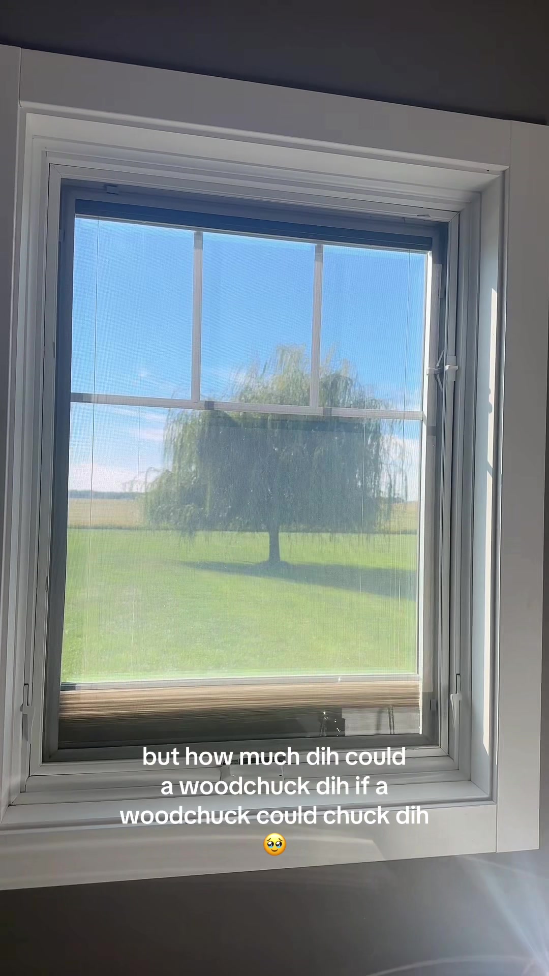 @reesemckenna