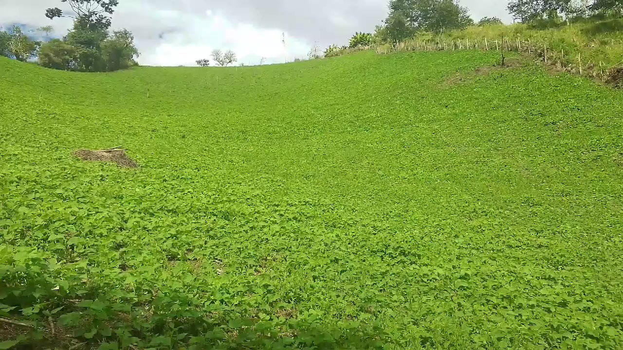 @Sa&uacute;l  Morales 🇪🇨