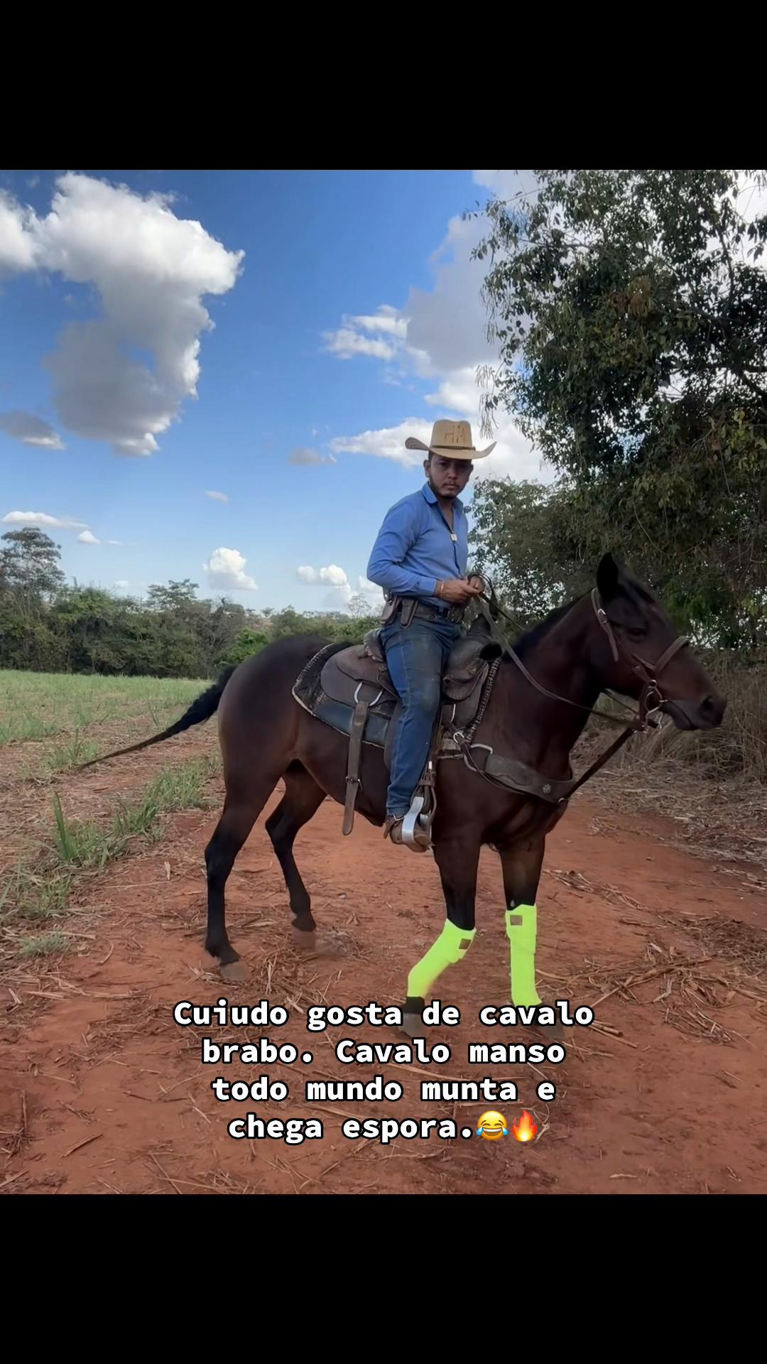 @mateusandrade9837