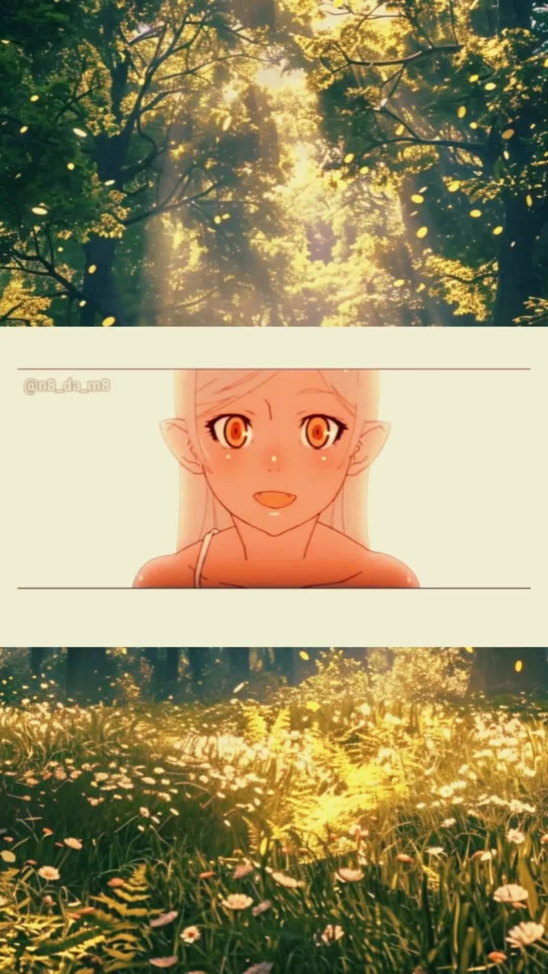 @Anime Chan