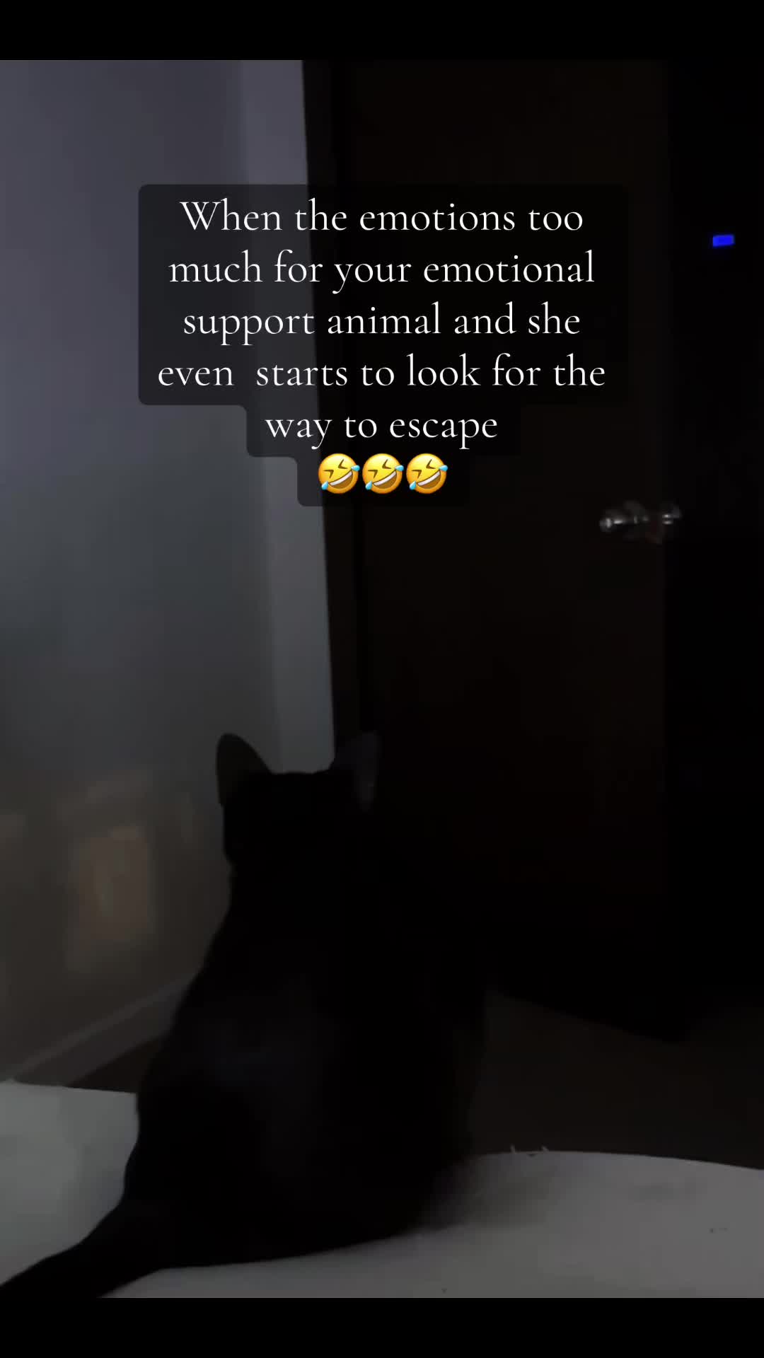@🍑🪼VikingPeach🪼🍑