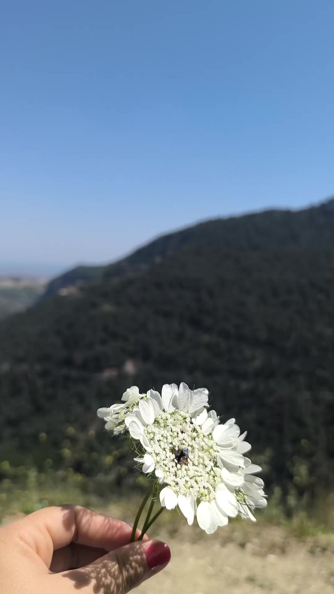 @fatma🥀deniz