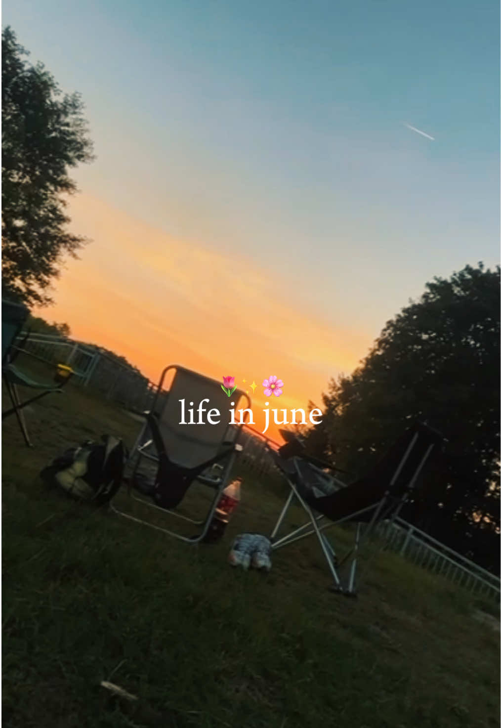 @❀𝔹𝕖𝕙𝕒𝕒𝕣𝕥𝕖 𝔹𝕖𝕒𝕥𝕖❀