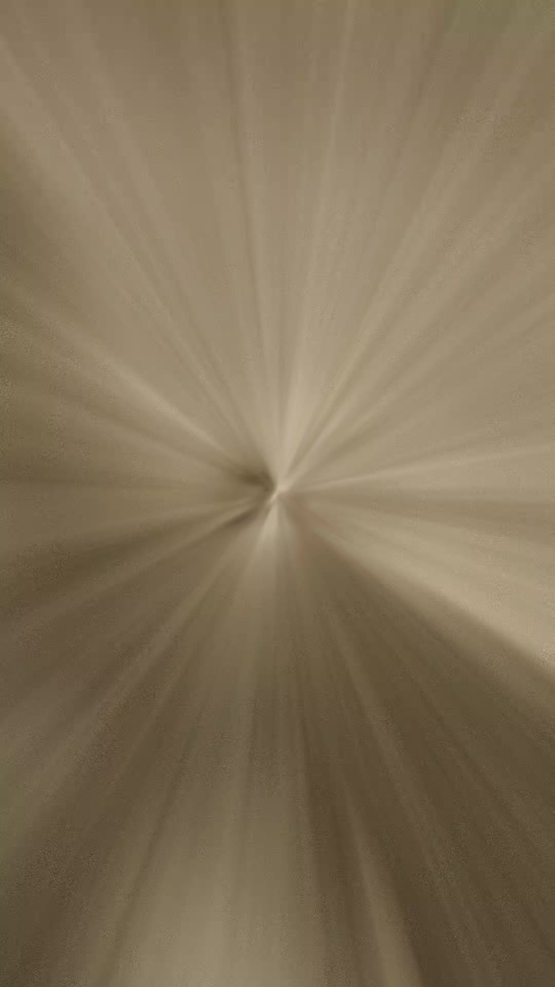 @dmst.art