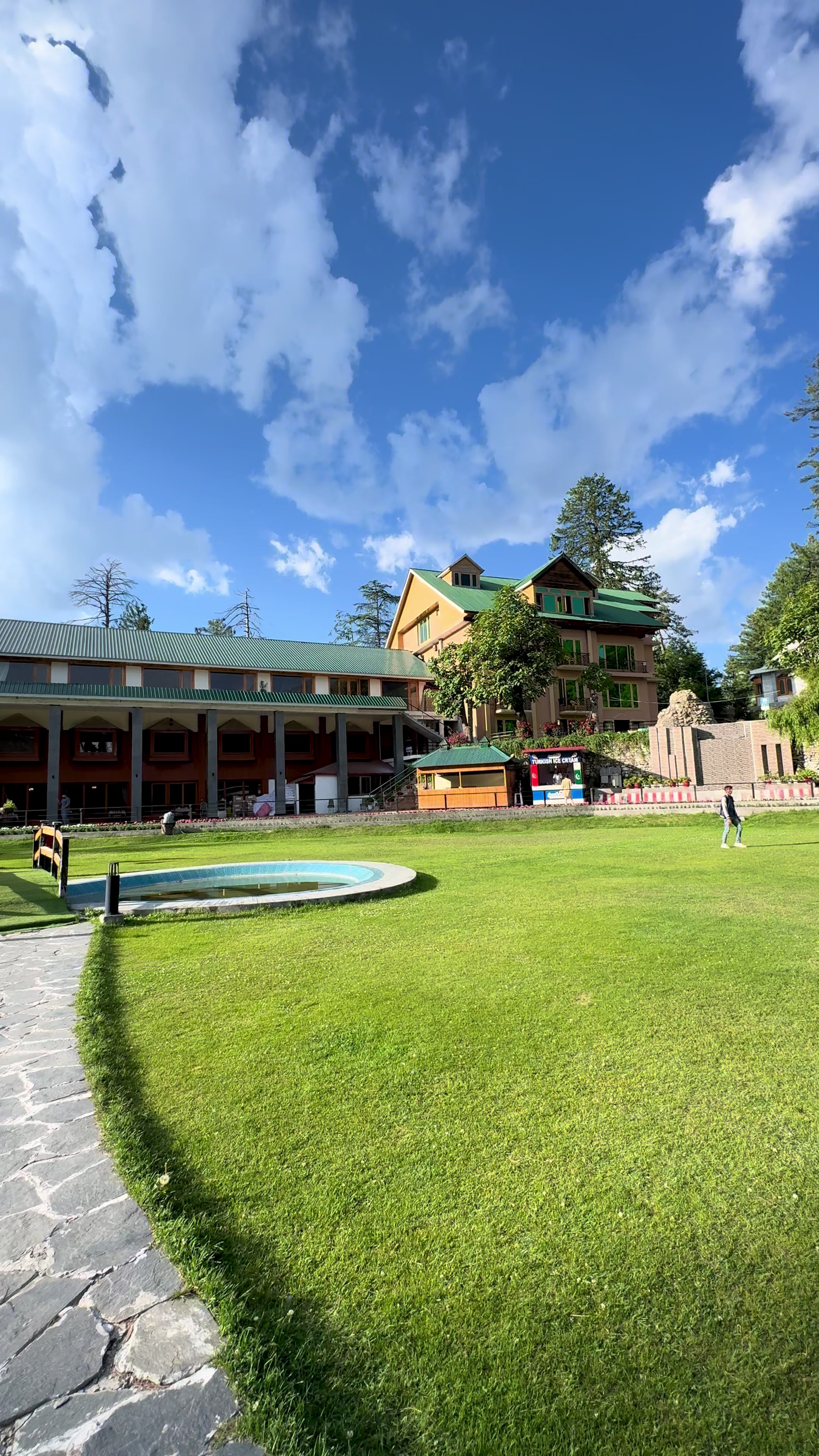 @Shogran Vibes