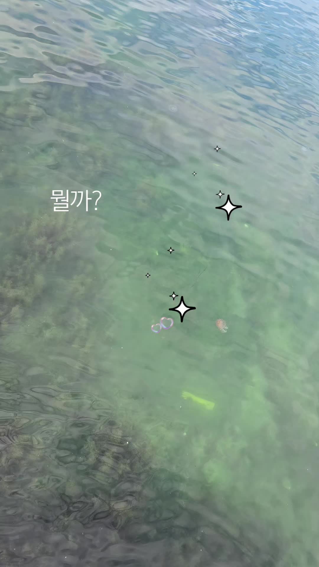 @훨훨~~^@^