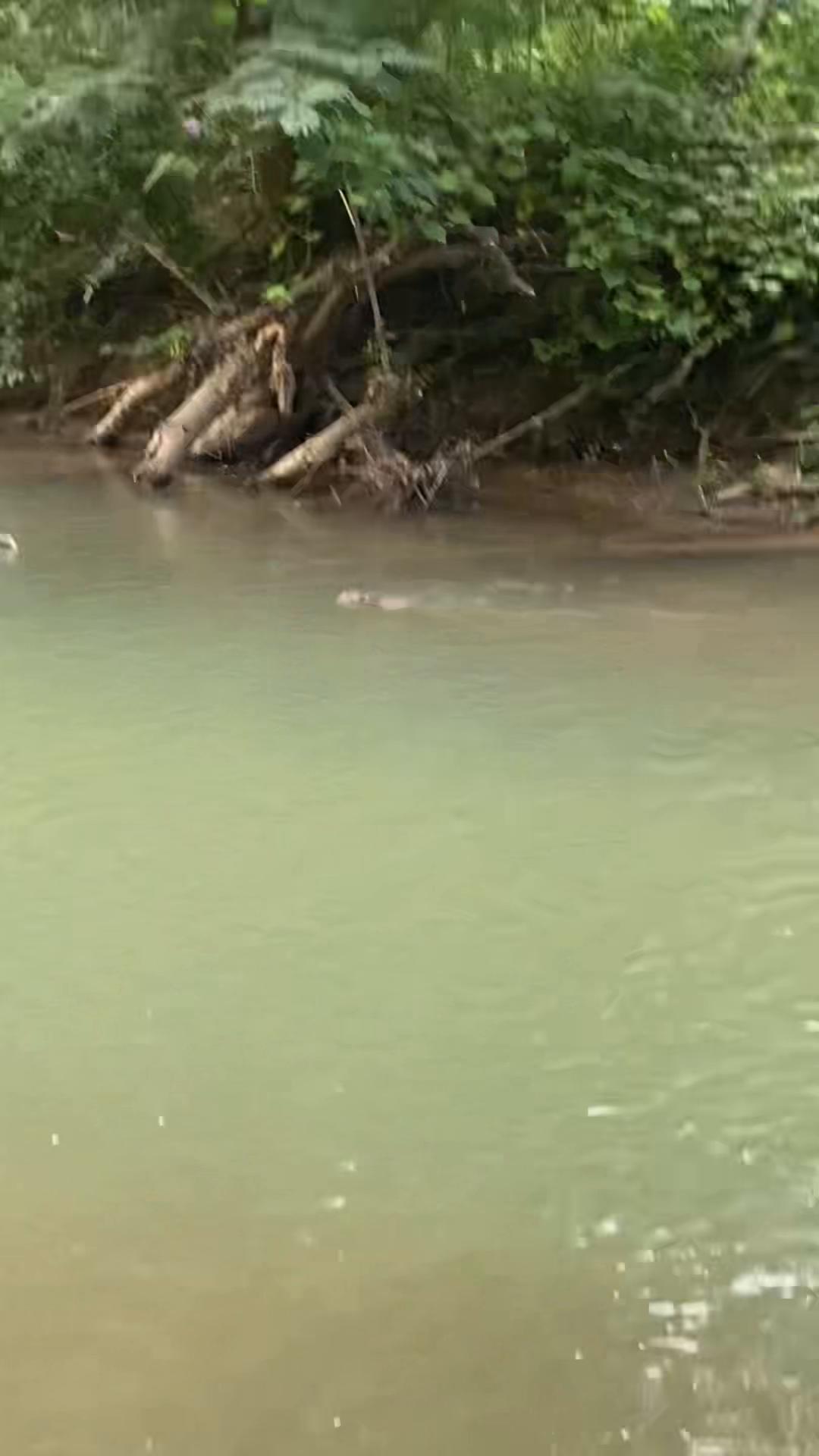 @wood.fishing