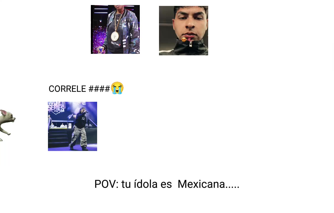 @Aylin_notazuky