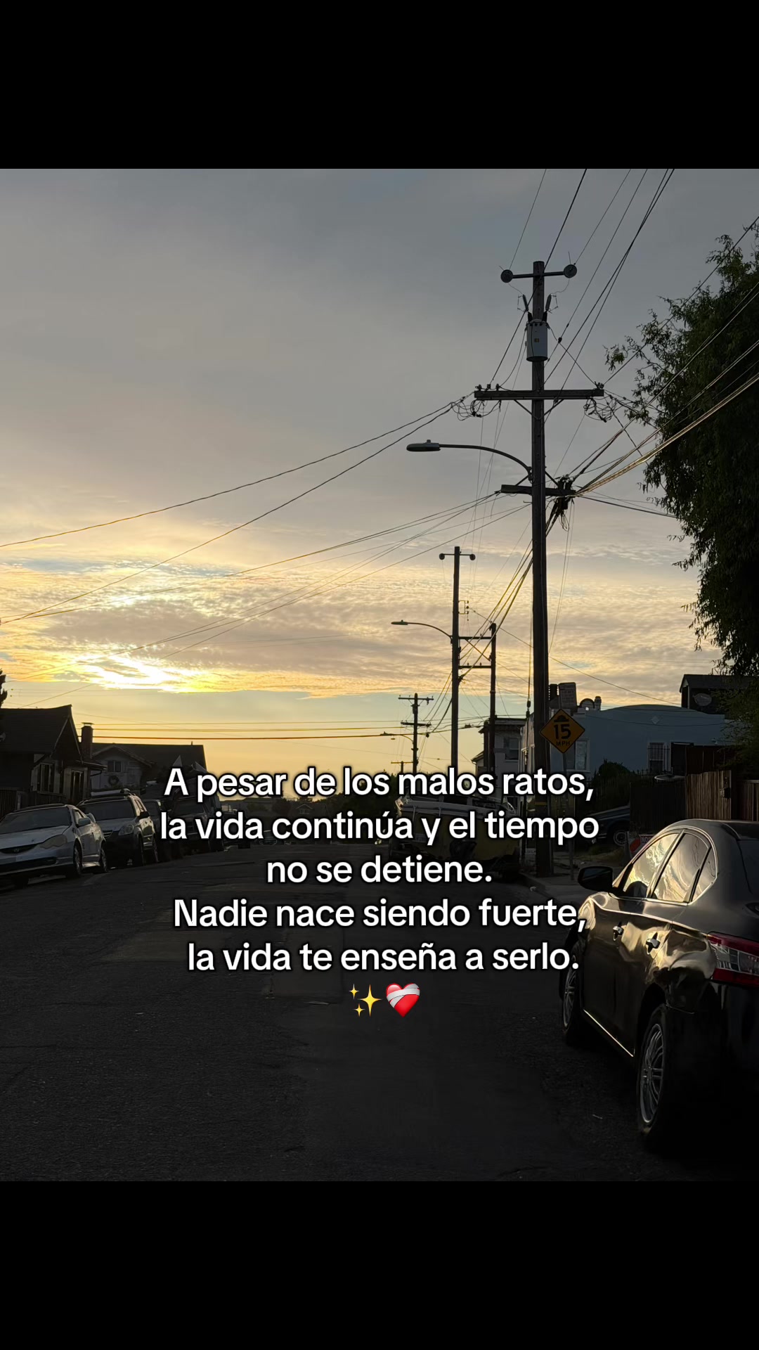 @aquihaydetodo14