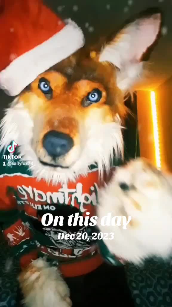 @SaltyFox