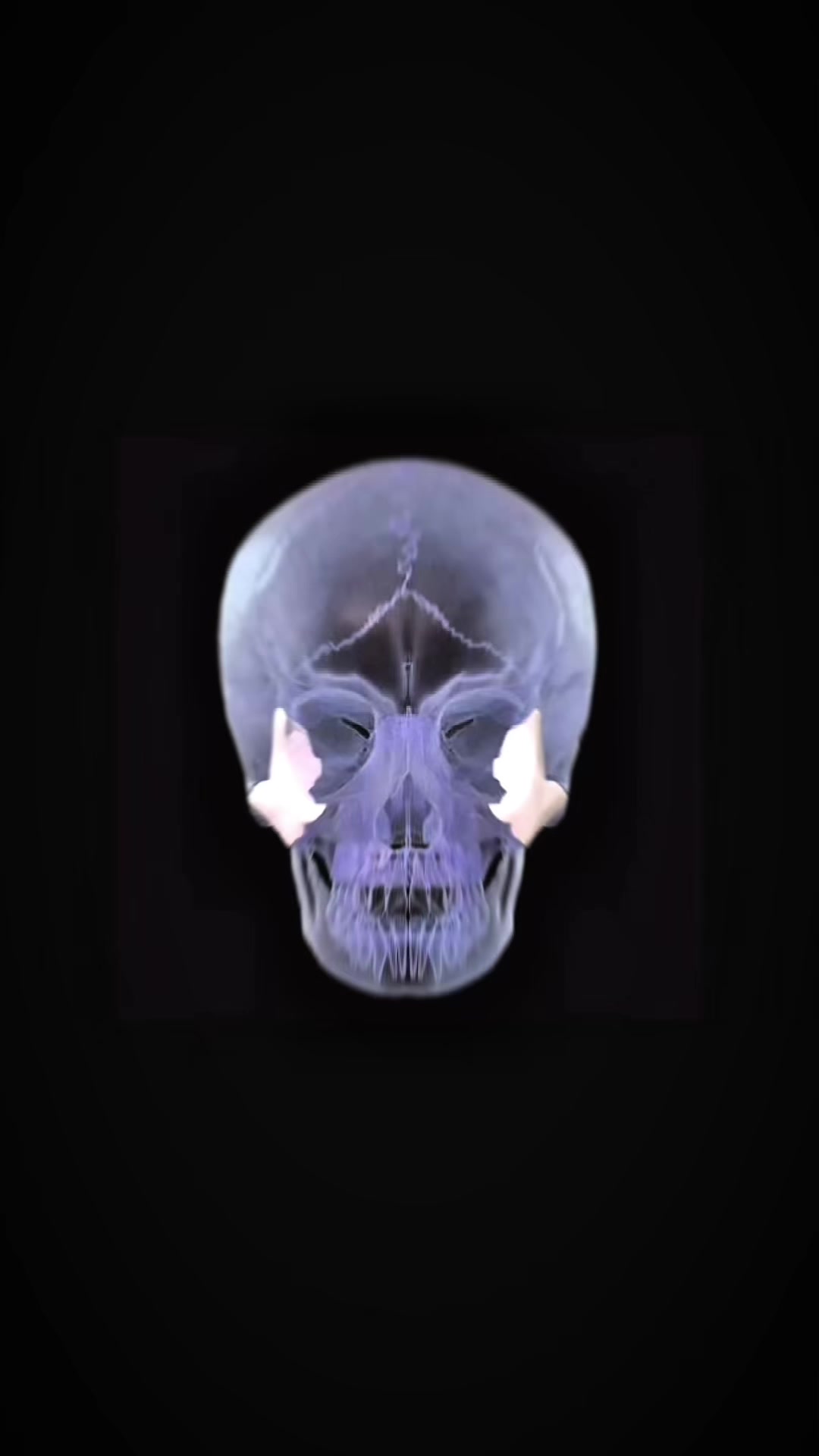 @🧬RPO🧬