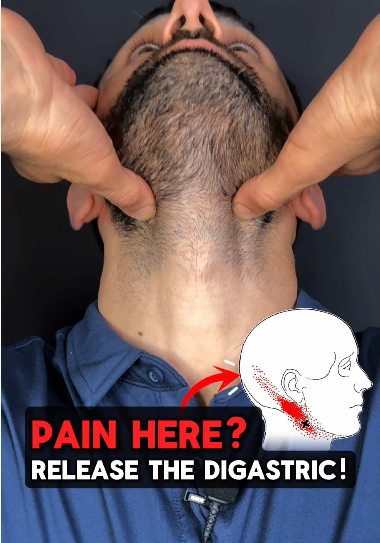@Dr. Joe Damiani, DPT