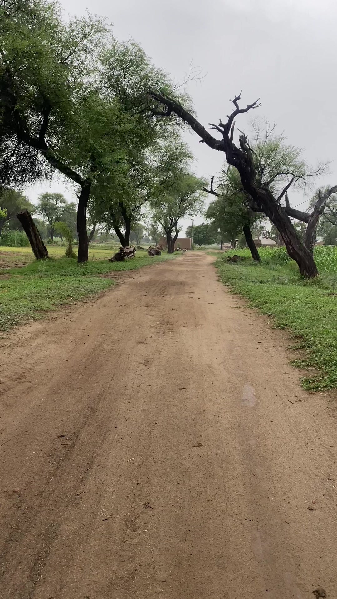 @ساڈاپنجاب🌾