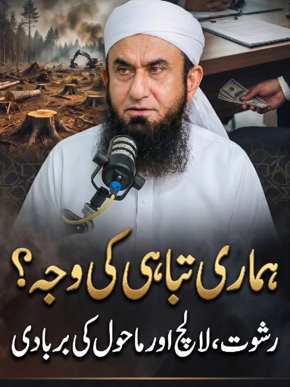 @Tariq Jamil | AJ Official