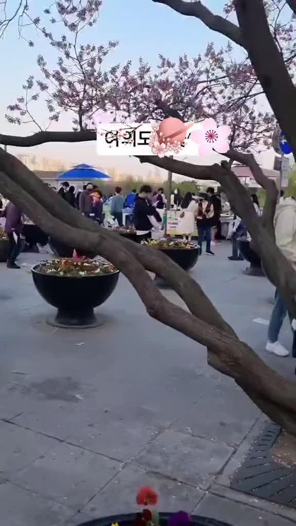 @h.y인생