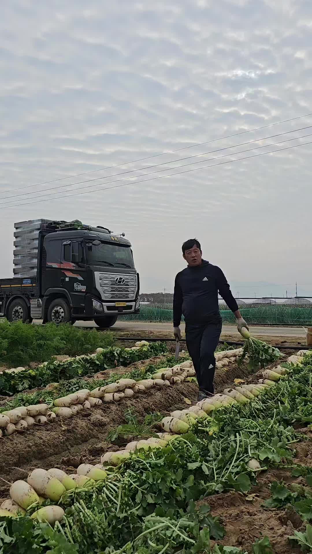 @트럭커보이 동하이🚛🇰🇷🚚