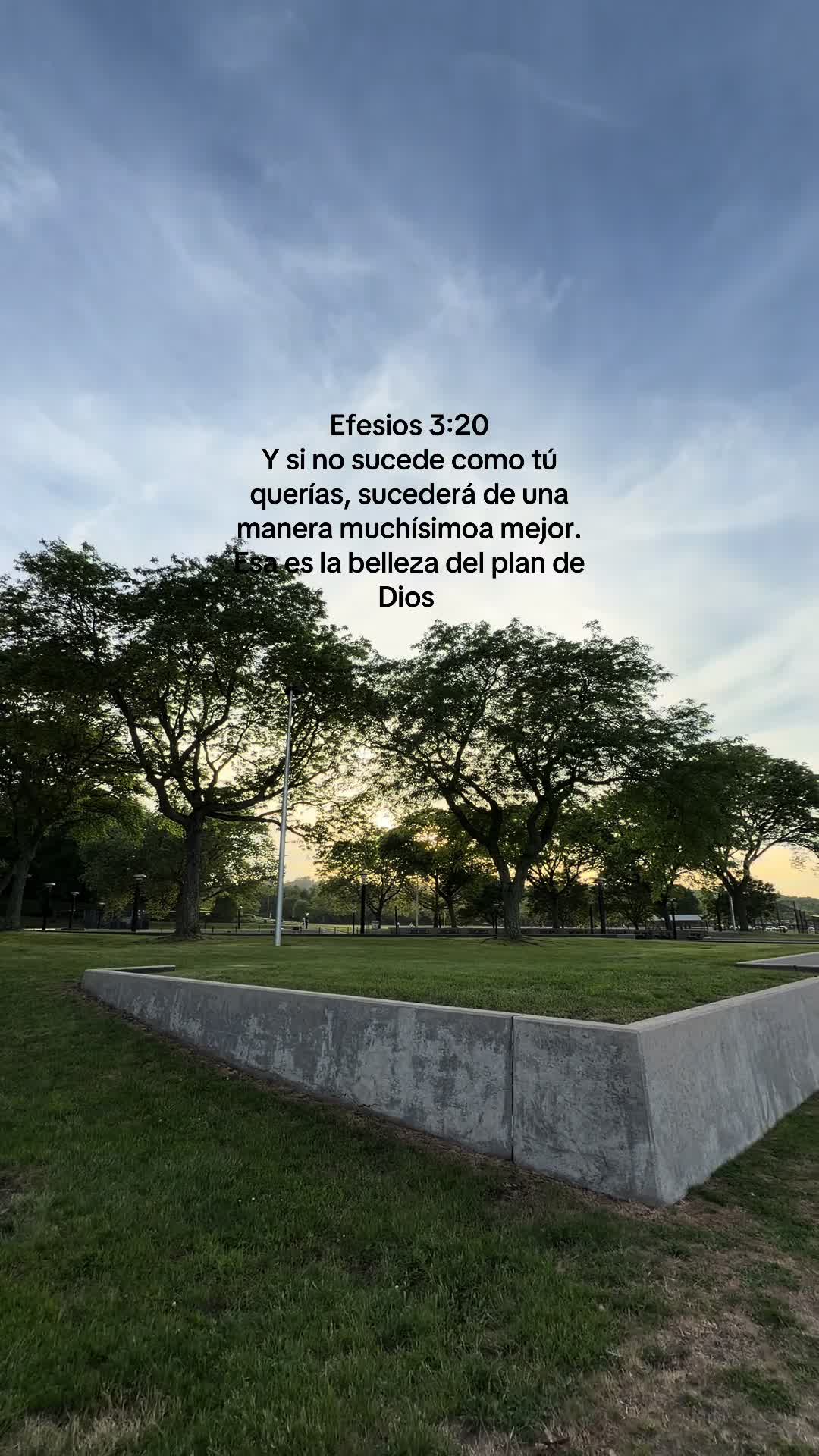 @Evelyn🦋