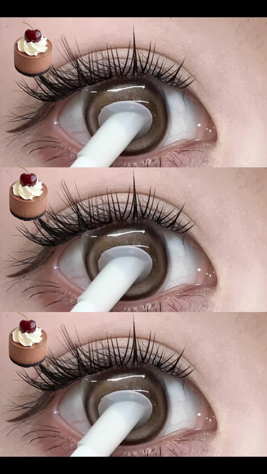 @sigocontacts_official