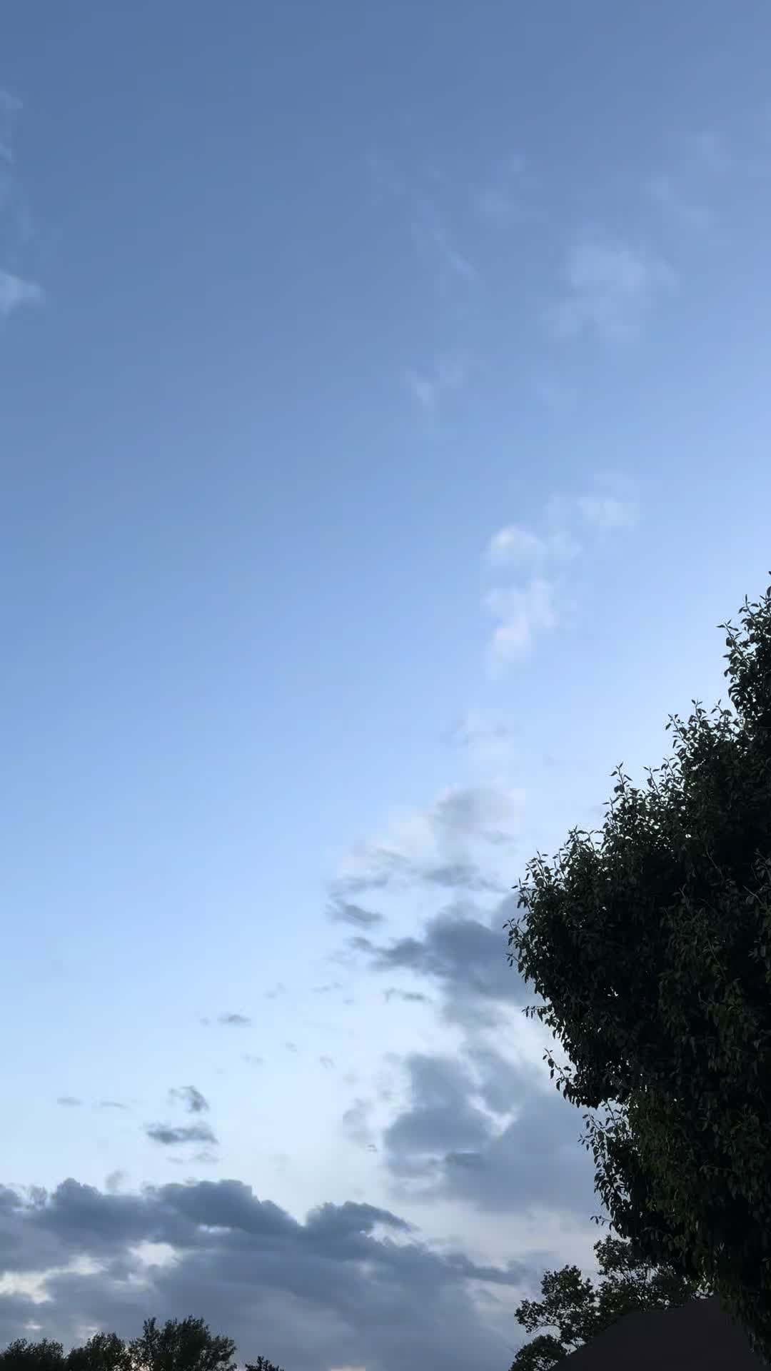 @bos