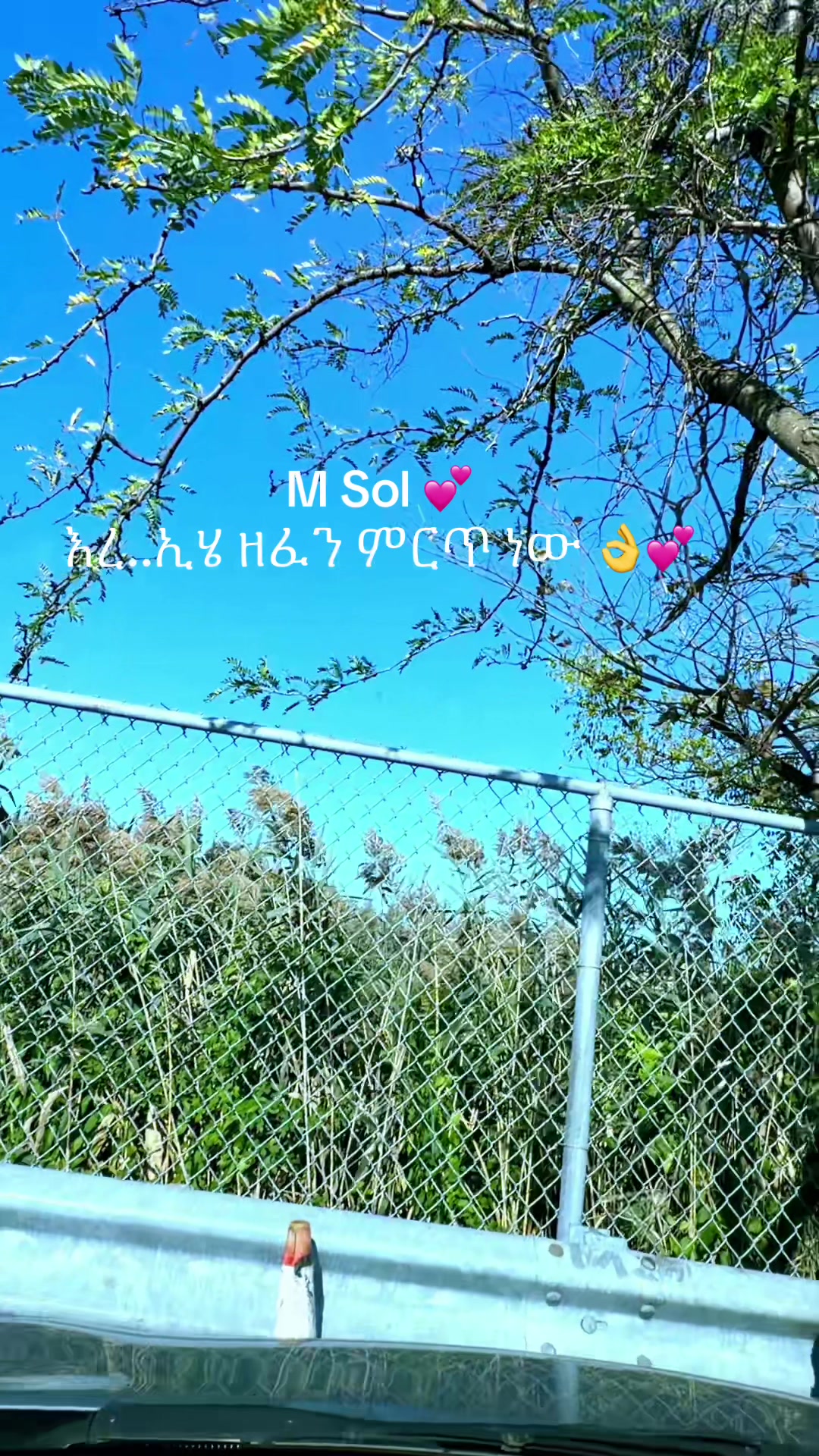 @M sol