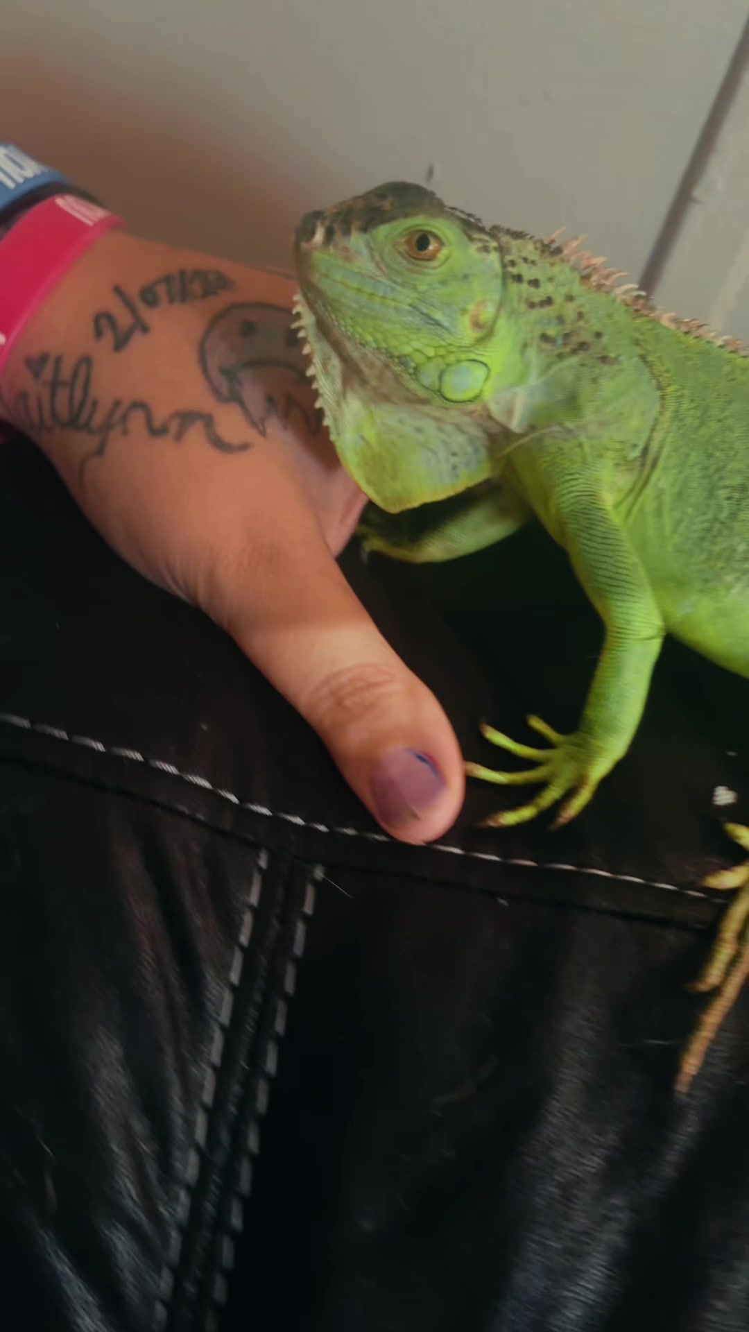@kaydenswifey9301