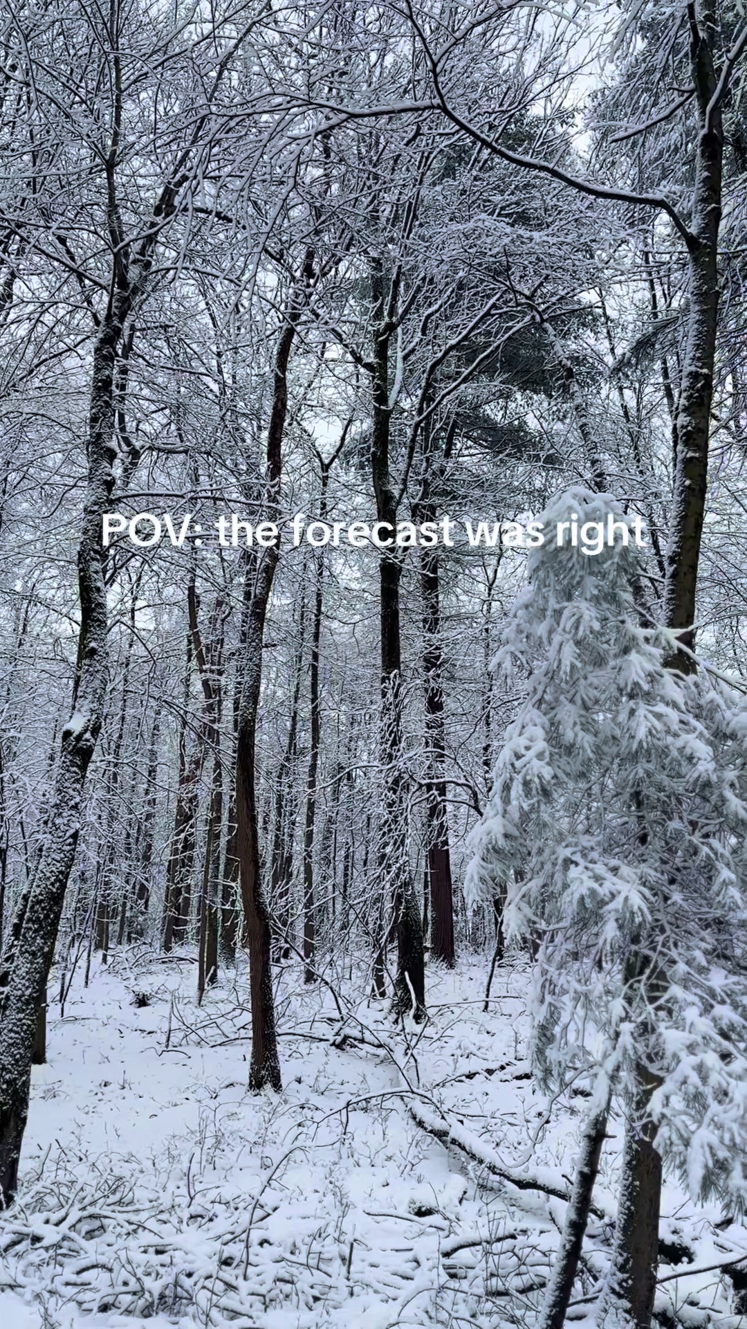 @Enwild