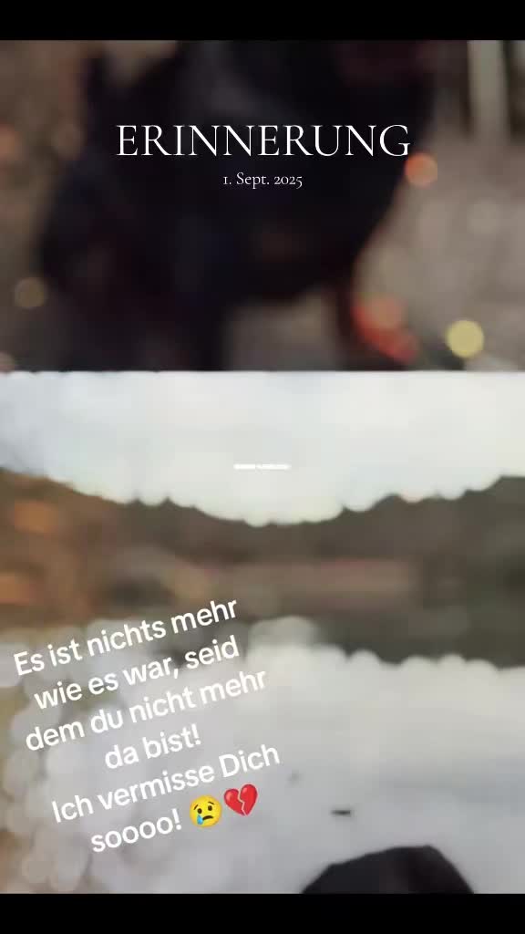 @Nicole❤️Schröder🖤Kowalski ❤️