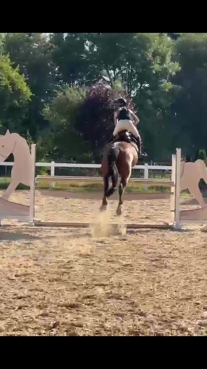 @emmy.equestrian