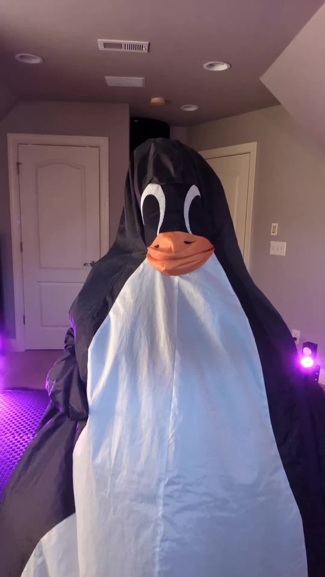 @Flipper