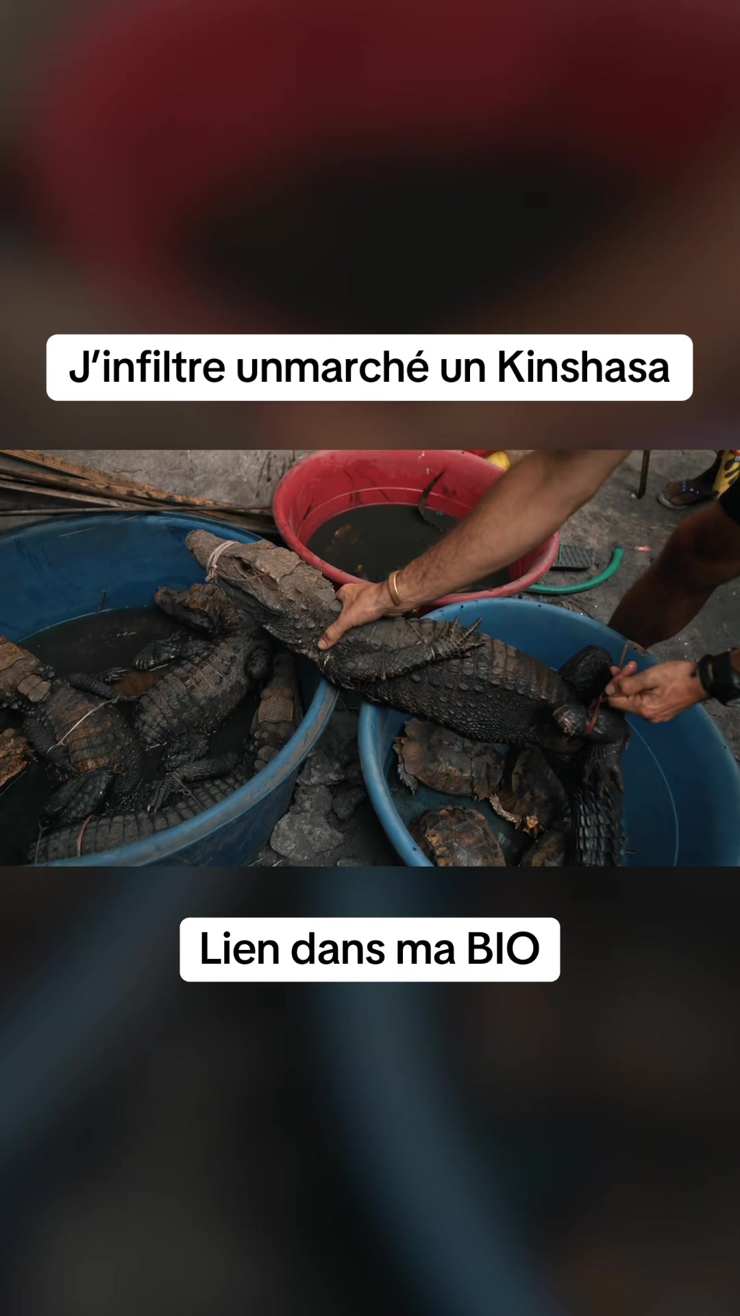 @ImSolal