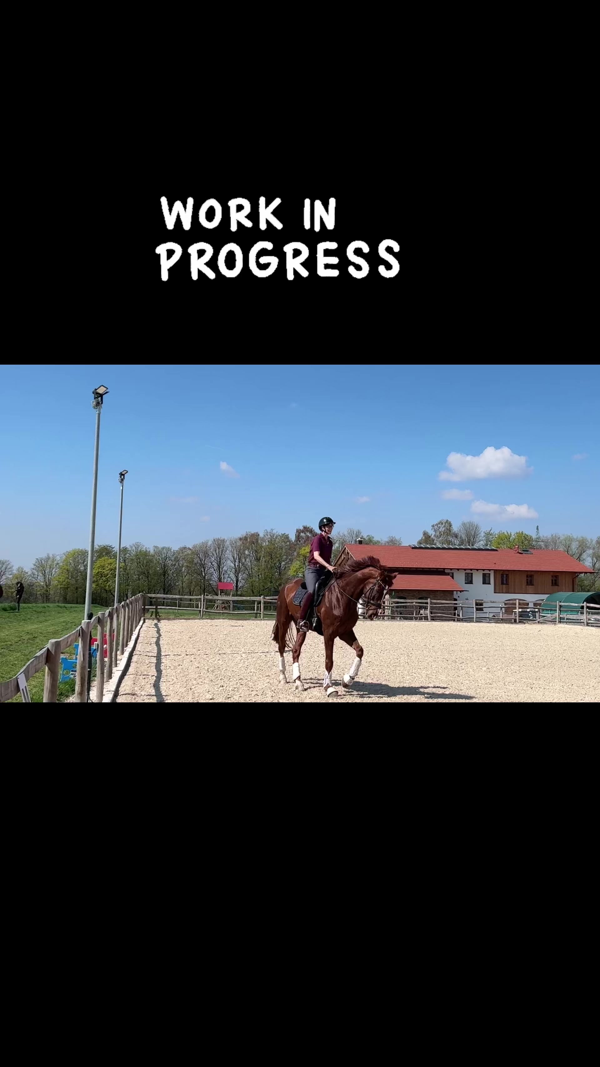 @Simbim & Friends 🐴🐕