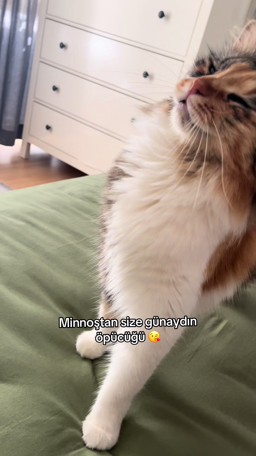 @konusankediminnos
