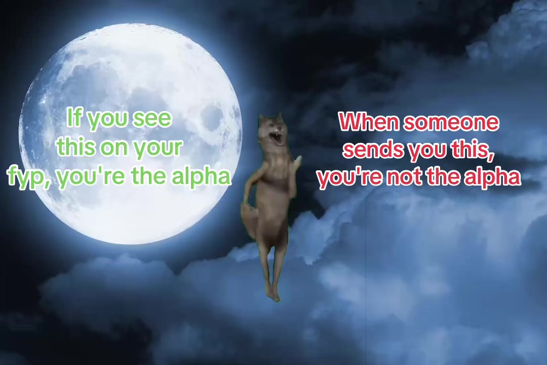 @Avienix