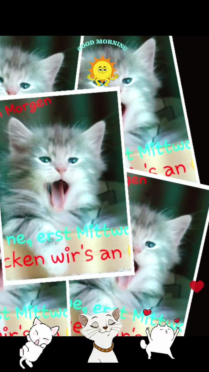 @Marika