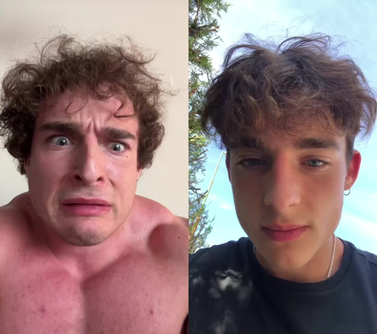 @leospollii