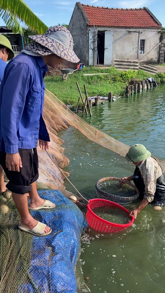 @Trại Cá Giống Quang Lâm