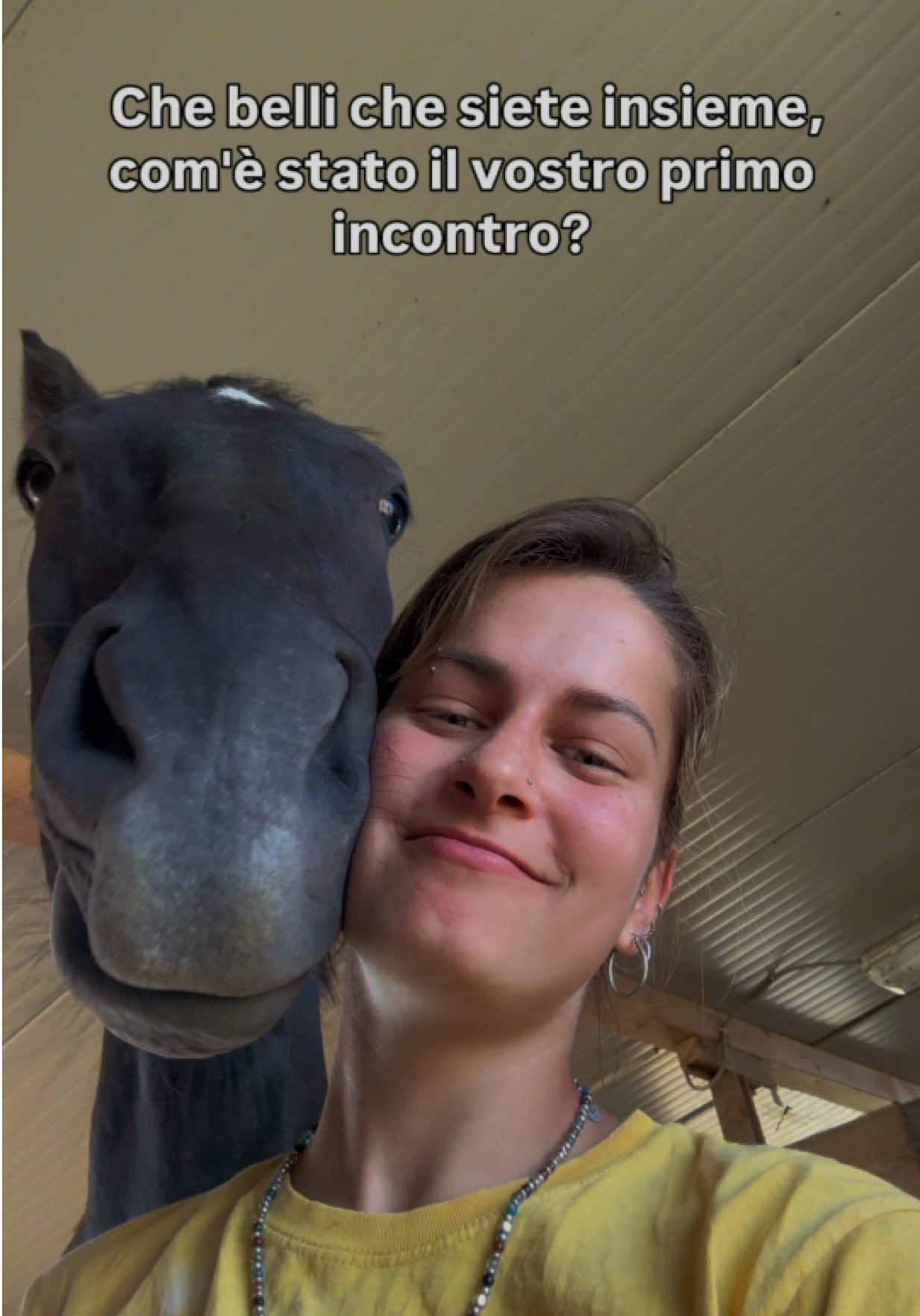 @lilia.troni