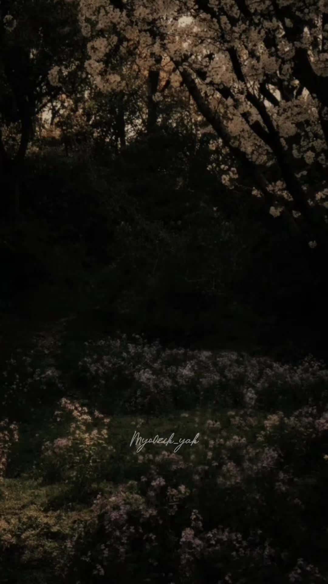 @ꪑꪗꪮ੦ɀỉƙ_ꪗꪖƙ ♪♫♬ 🧬