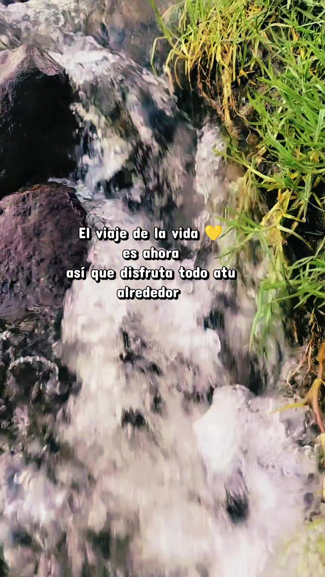 @Nochipa