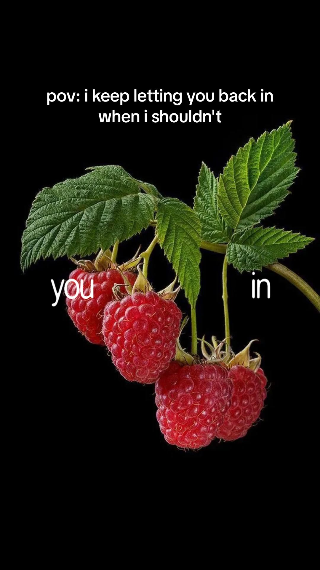 @mod