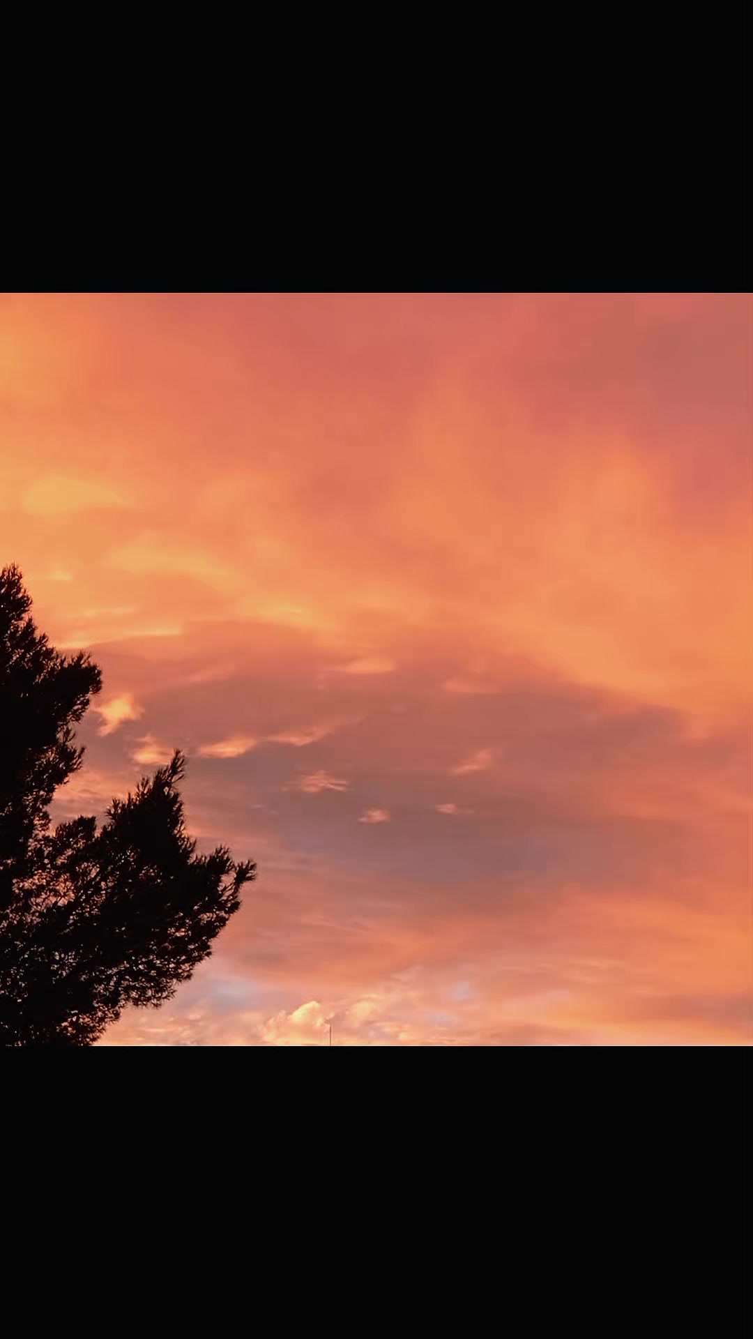 @𝘚𝘶𝘱𝘦𝘳 𝘗𝘩𝘪𝘯𝘰𝘶