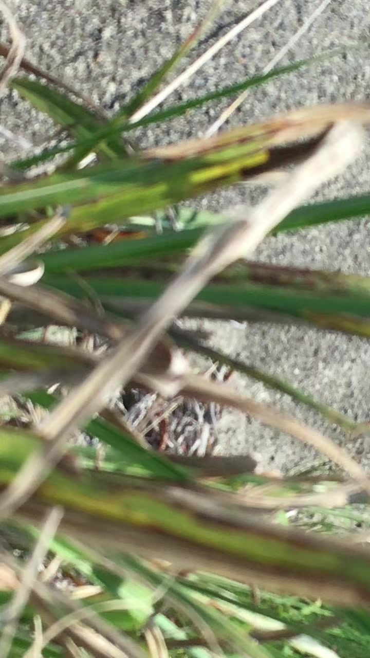@福島レーシング