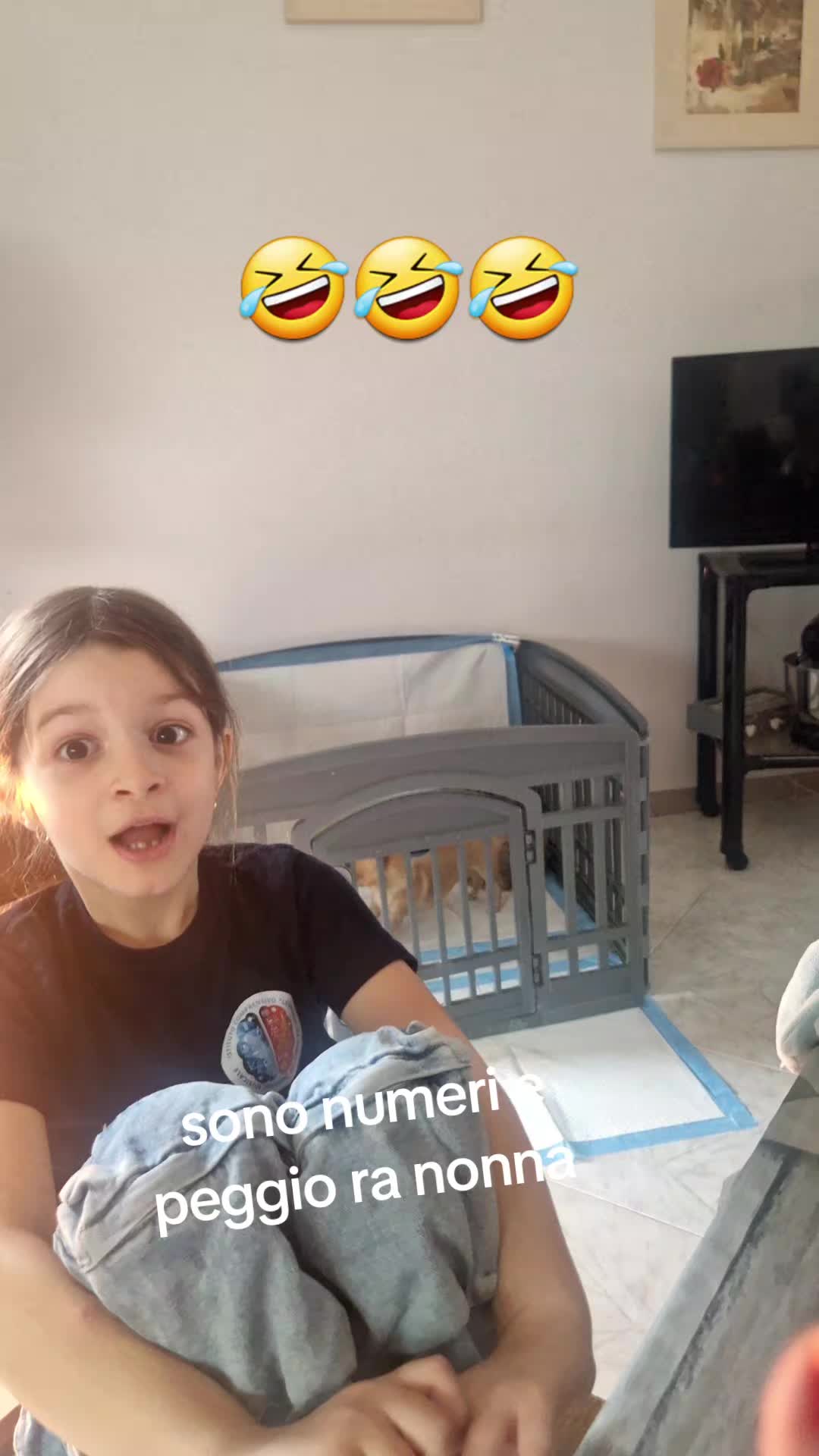 @Paola de Martino